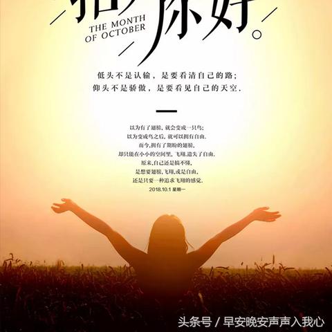 虚张声势 第3页