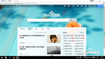 揭秘百度谷歌浏览器，独特体验，与众不同