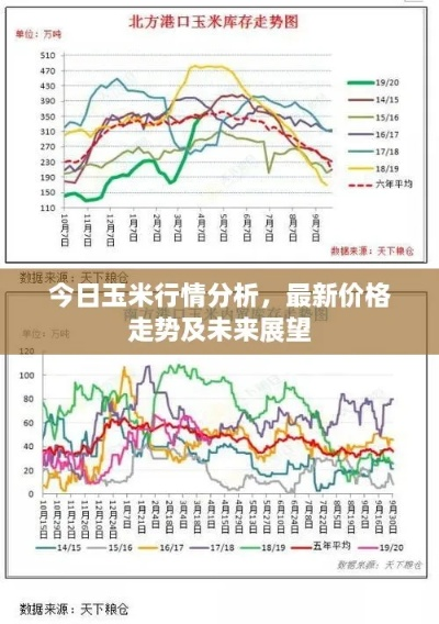 玉米粮价今日最新动态，市场走势深度分析与预测