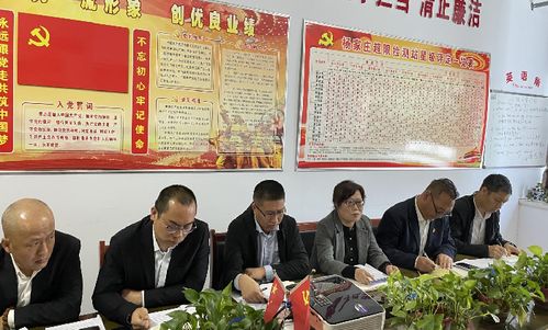 杨家庄新闻聚焦，乡村新貌与时代变迁揭秘
