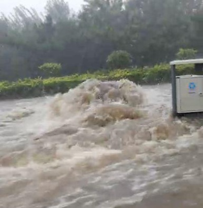 莒县暴雨实时更新，最新天气情况及应对措施