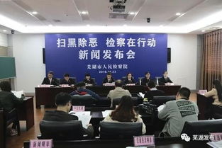 梅州扫黑除恶行动获重大胜利，最新成果揭晓！