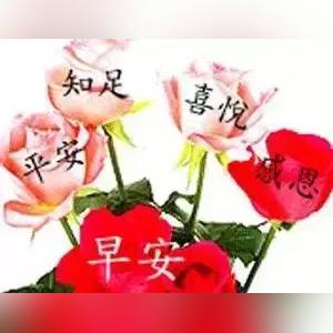 最新早安问候图片，温暖开启美好一天