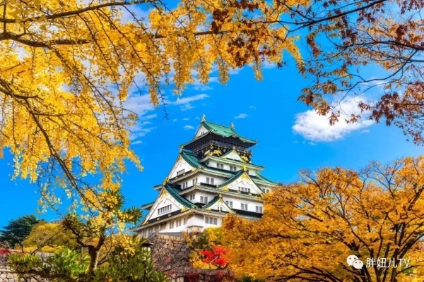 深度探索日本古都之旅，大阪、京都、奈良旅游攻略全解析