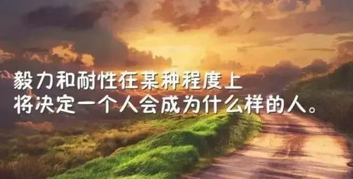 热门经典励志语录，激发斗志，成就非凡人生之路！