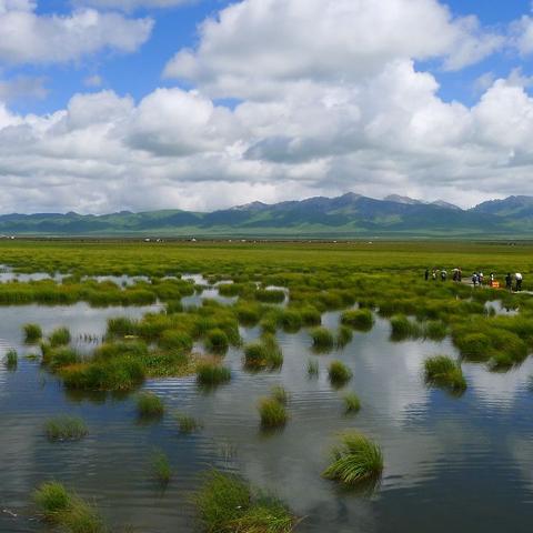 若尔盖高原藏寨旅游攻略，领略独特魅力，畅游高原风情胜地！