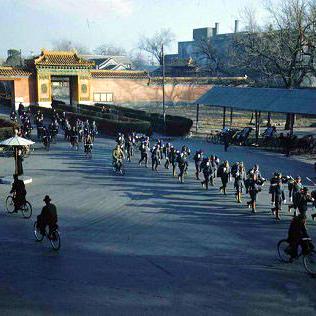 北京旅行公园TOP10，古都自然之美的探索之旅