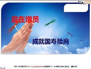 励志保险拜访，信念与决心，迈向成功的保障之路