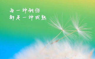 励志早安语录，开启正能量的一天