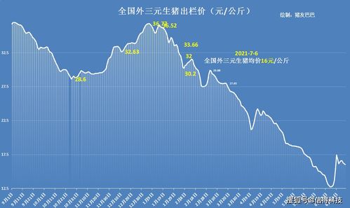 浙江今日收猪价格最新动态更新通知！