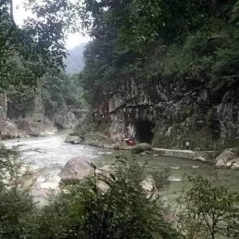 屏南新闻头条，今日新闻热点一网打尽
