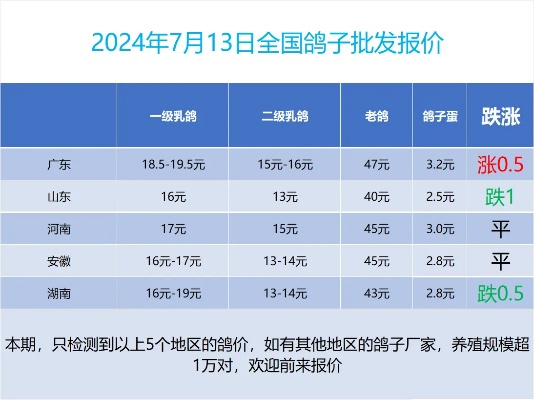 最新鸽子拍卖价格行情，市场走势及影响因素深度解析