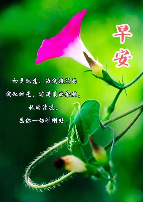 励志早安风景语录与美图分享