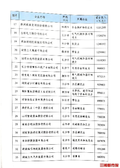揭秘湖南省基础基建公司排名榜单