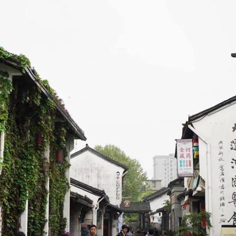 黄山旅游指南，最新超值攻略，揭秘超低成本游玩黄山体验！