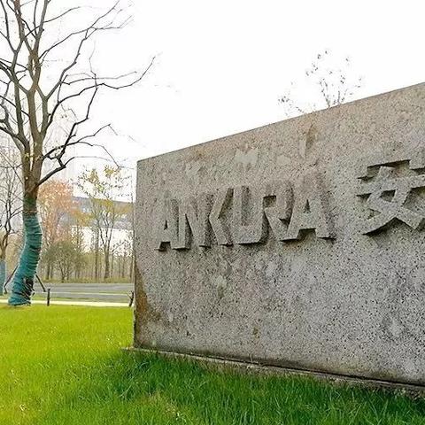 气体销售公司排名揭秘，行业领军者的综合评估与解析