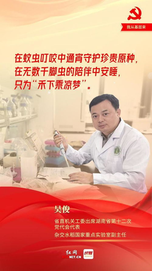 钦州大成新闻聚焦，本地动态速递，民生声音传递