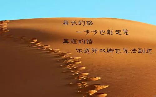 简短励志团队语录，激发无限潜力！