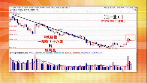 今日股票最新资讯解读，市场走势分析+热门股票推荐（8月7日）