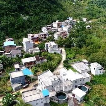 柏林水果公司排名揭晓，探寻市场领导者，优质之选不容错过