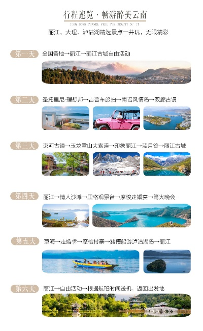 束手就禽 第2页