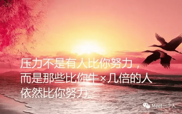励志正能量课本语录，点燃激情，照亮人生之路！