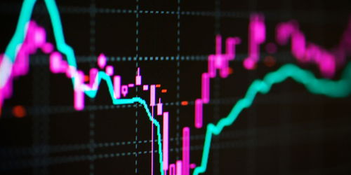 鹅蛋市场行情深度解析，最新报价一网打尽