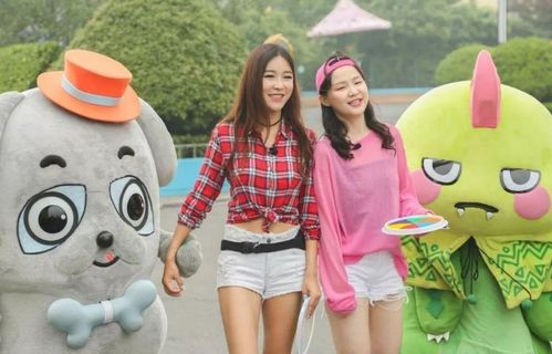 南阳扶梯公司排名揭秘，背后的成功故事