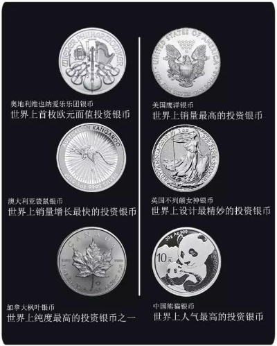 全球硬币魅力排行榜，收藏与欣赏的梦幻之旅