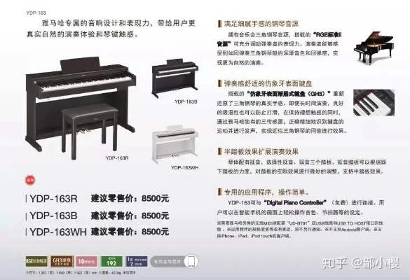 钢琴选购攻略，百度经验分享，带你选购心仪钢琴！