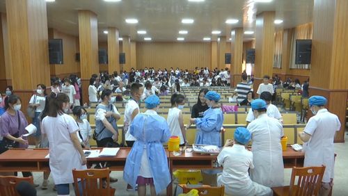 蕲春疫情最新动态分析，今日数据揭秘
