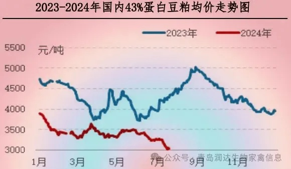 今日白豆行情大揭秘，最新消息、市场动态、价格走势及影响因素全解析