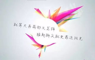 美女励志语录，自信与坚韧的力量绽放