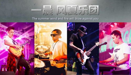 群唱网红歌曲大集结，引领新时代的音乐潮流，最新播放一网打尽！