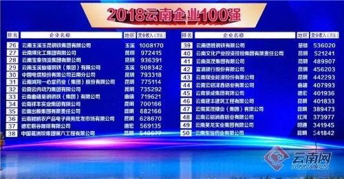 揭秘云南省石油公司级别排名及影响力，看其在地方市场的地位如何？