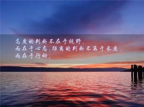 励志感悟语录，探寻人生智慧，点亮心灵成长之旅