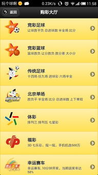 今日快8彩票最新预测，探索未来幸运数字的可能性