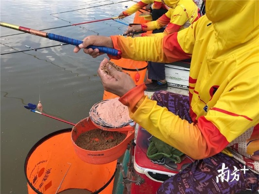 江门钓鱼最新资讯，今日动态一网打尽
