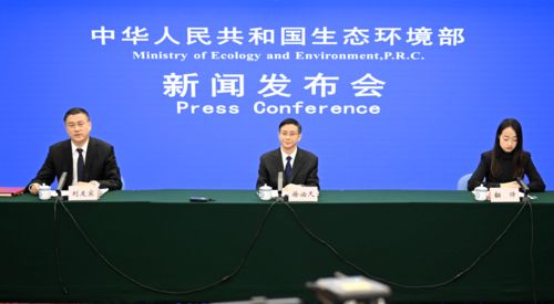 合肥生态环境新篇章，新闻头条聚焦绿色崛起