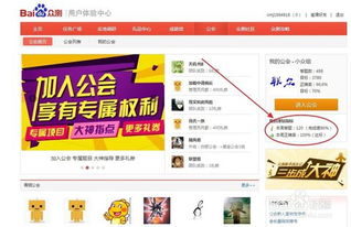 揭秘百度网址背后的故事，探寻百度一下我看看的神秘面纱