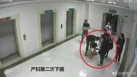 青田女子坠楼事件视频曝光，深度解析与反思事件真相