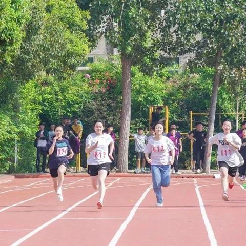 全球赛场热血瞬间，今日国际赛事最新消息速递