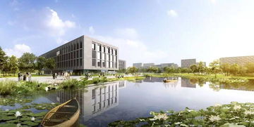 西湖大学在世界名校排名中的迅猛崛起及其影响力