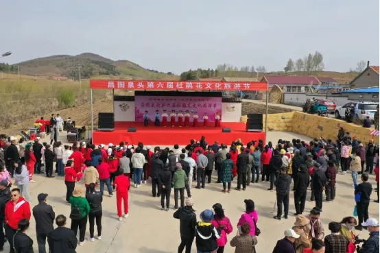 泉头镇新闻聚焦，乡镇新面貌活力四溢