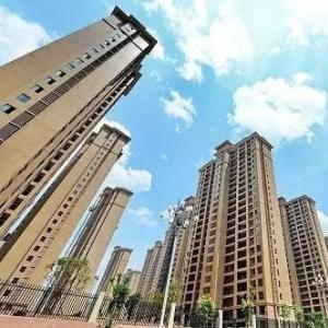 今日城都油价最新动态，查询、分析与影响因素全解析