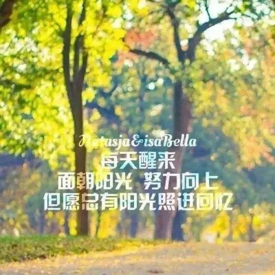 晨宇励志语录，点亮人生的星光之路