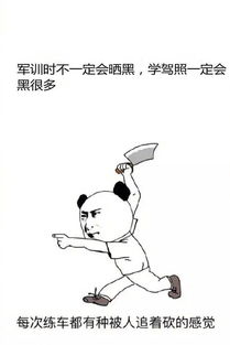 恶搞之家励志语录，笑中带泪，生活的智慧启示