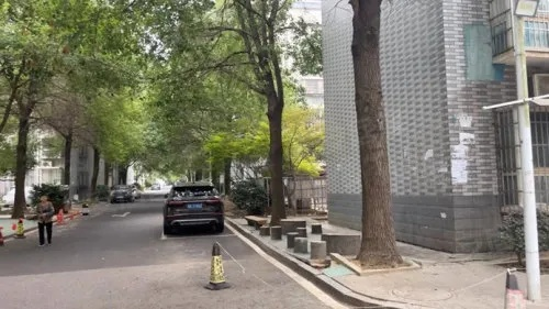 长沙金麓小区，探寻都市中的静谧乐土