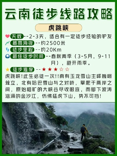 橘虞初梦 第2页