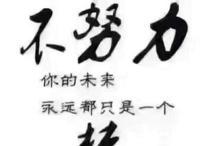 樊登励志语录，塑造自我，成就非凡人生之路